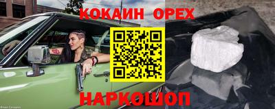 гашиш Кингисепп